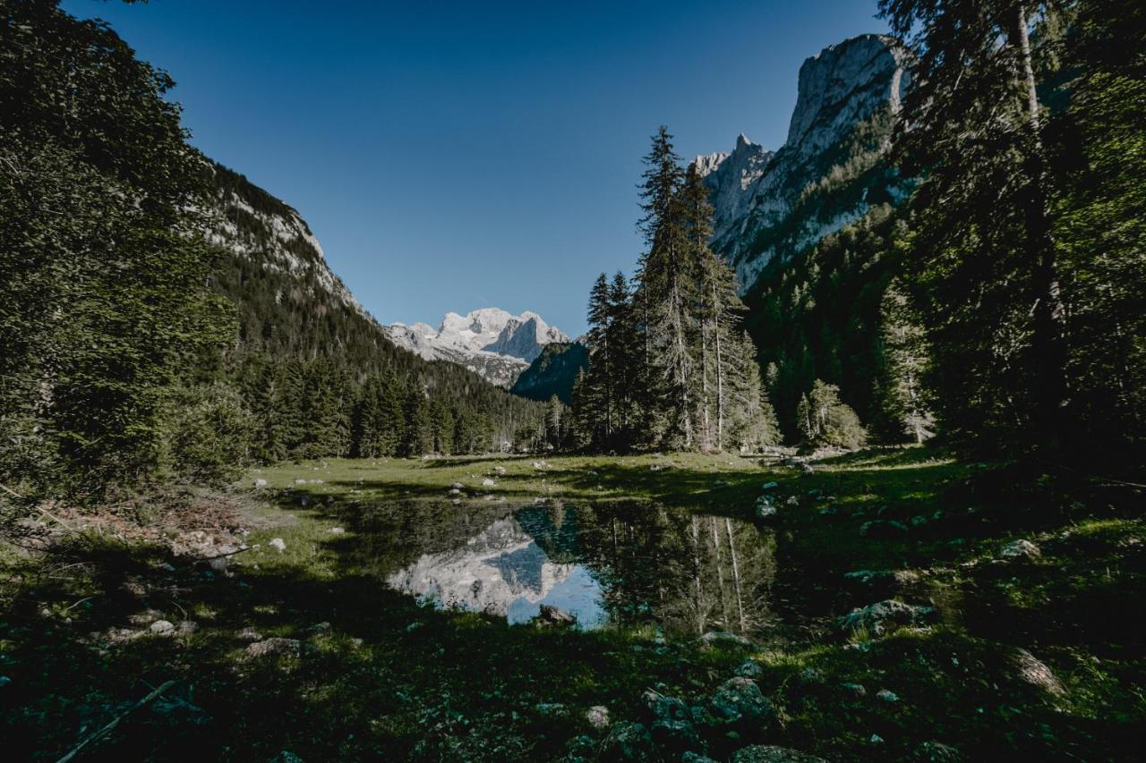 Hotel Sommerhof Gosau Extérieur photo